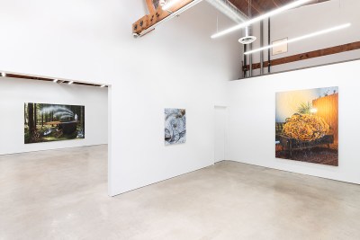 Installation view of Sun Woo's exhibition "Swamps and Ashes," 2024, at Make Room, Los Angeles.