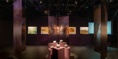 View of an art exhibition with five sculptures resembling rocks on pink plinths that are surrounded by hanging clothes that are printed with images of nature and other photos hanging on the wall in background.