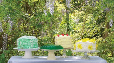 Four colorful cakes sit on a table outside, surrounded by trees.
